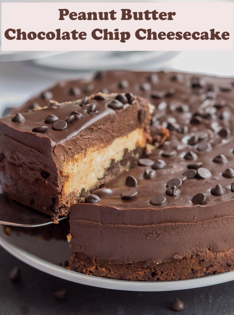 Peanut butter chocolate chip cheesecake on a plate with a slice being lifted out of it.
