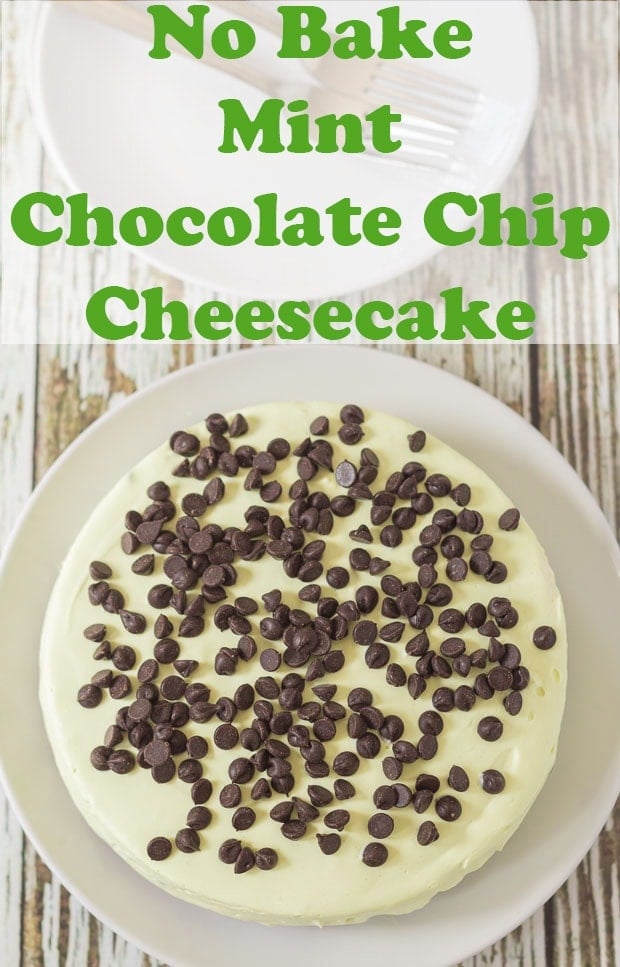 A no bake mint chocolate cheesecake on a plate. Pin title text overlay at top.