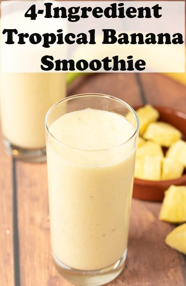 Two glasses of 4-ingredient tropical banana smoothie one in front of the other with slices of pineapple around the base as decoration.