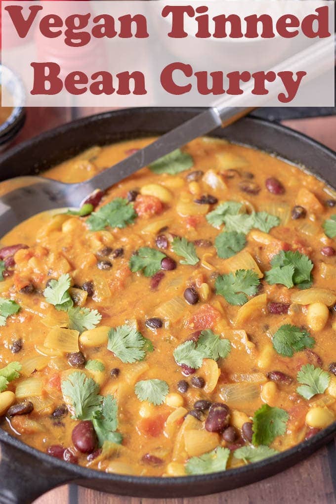 Pan of vegan mixed bean curry cooked on the stove with a serving spoon it it ready to serve.