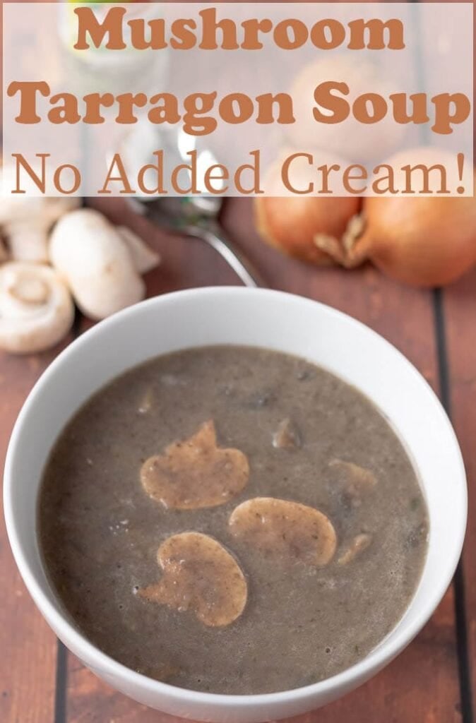 A bowl of mushroom tarragon soup with mushroom and onions decorated around the bowl.