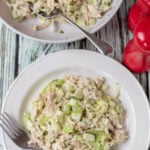 Overhead view of a plate with a serving of leftover turkey salad at the bottom with a fork alongside. Rest of the salad in a serving dish at the top with a serving spoon in. Salt and pepper cellars to the right.