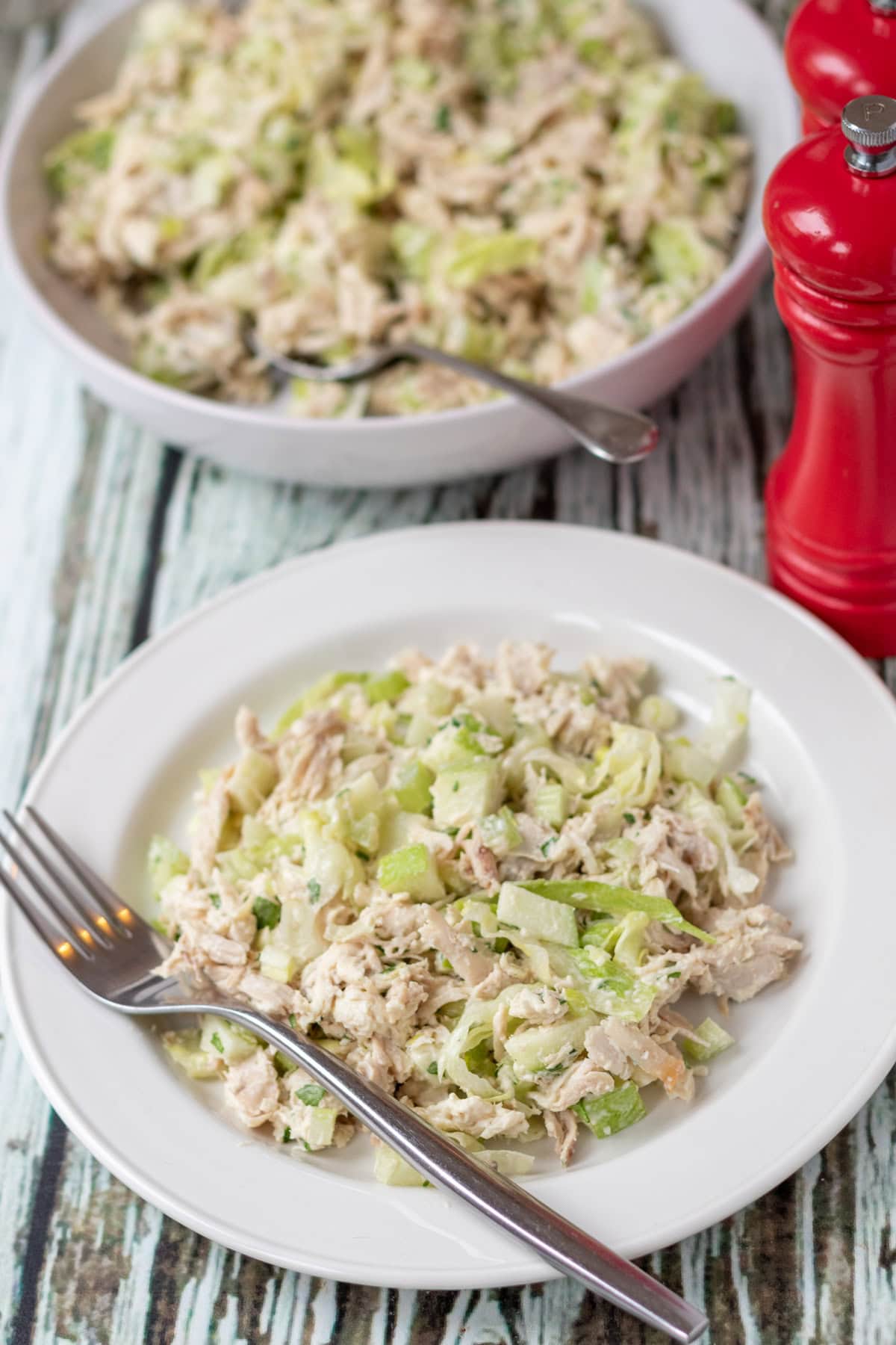 A plate of leftover turkey salad in front of the serving bowl of the rest of the salad. Salt and pepper cellers in between to the right.