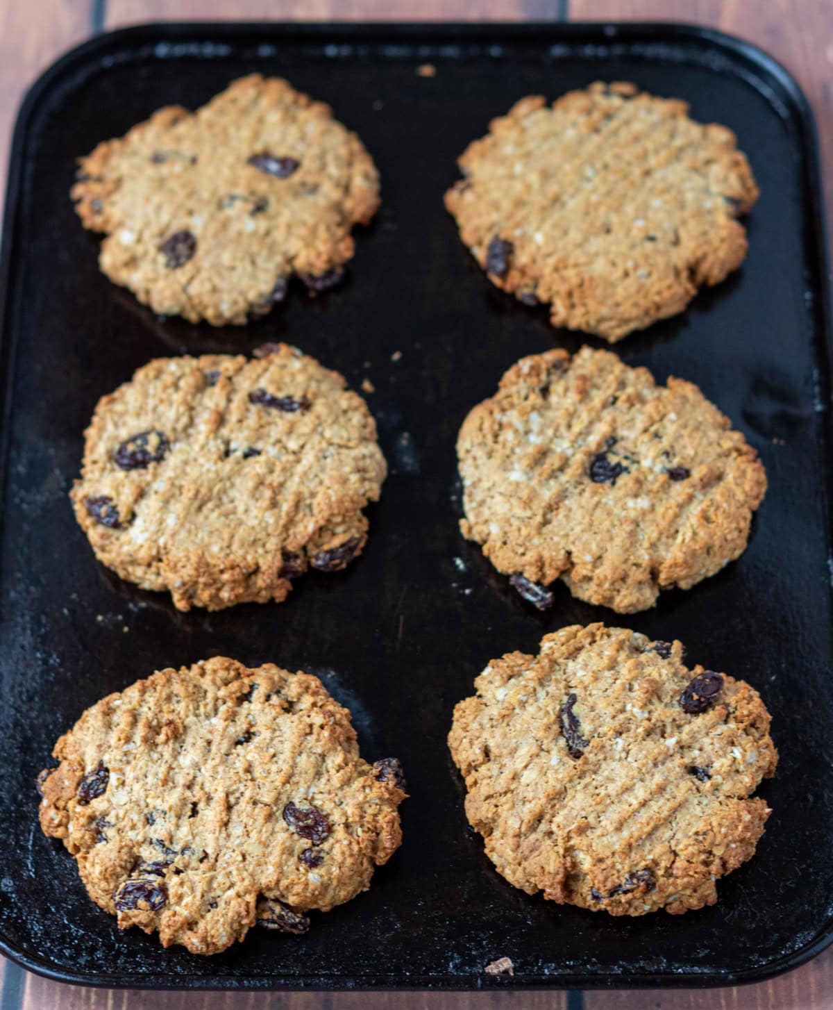 6 raisin oat cookies baked on a baking tray.